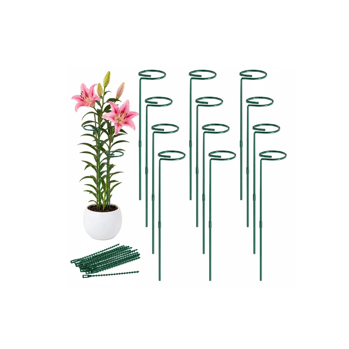 SLUMLOVE 24 in Green Metal Plant Support Stakes, 12 Pack, 4.5 mm Spiral Ring Garden Stakes with Plant Ties